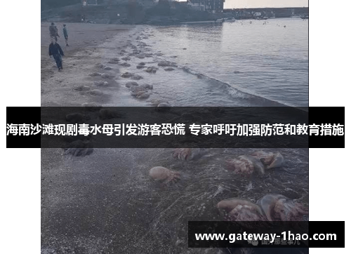 海南沙滩现剧毒水母引发游客恐慌 专家呼吁加强防范和教育措施